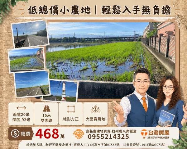 雲林水林農地-0