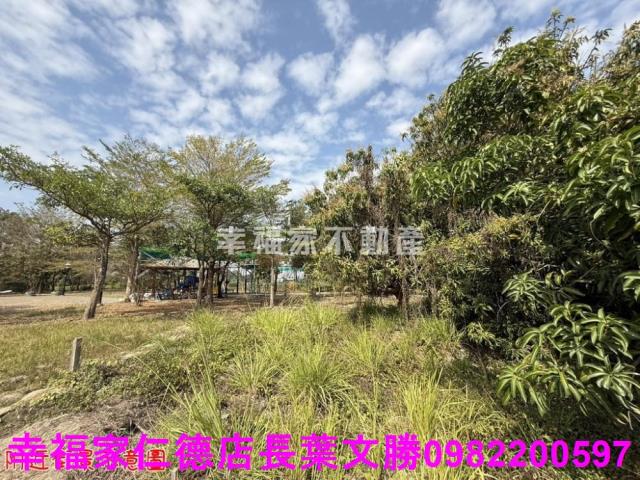 台南歸仁農地-9