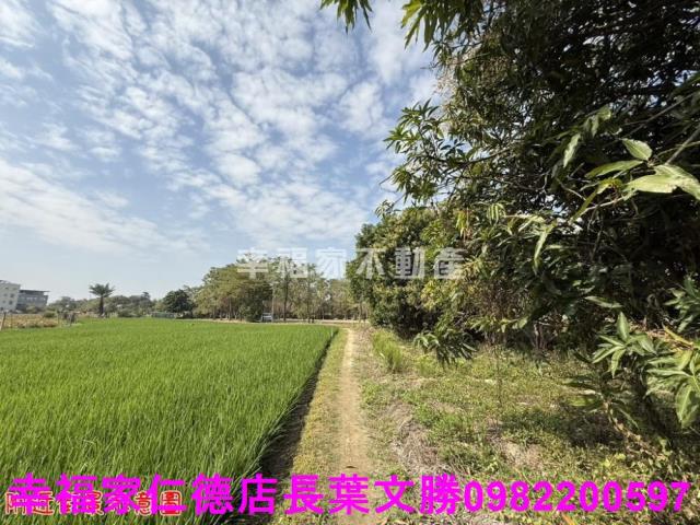台南歸仁農地-10