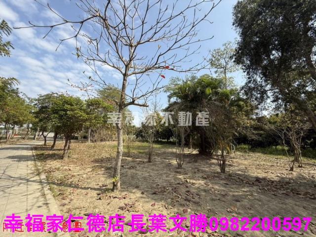台南歸仁農地-11