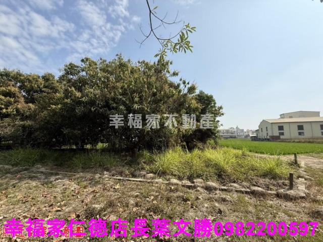 台南歸仁農地-13
