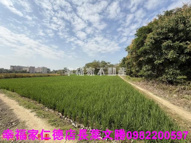 台南歸仁農地-14