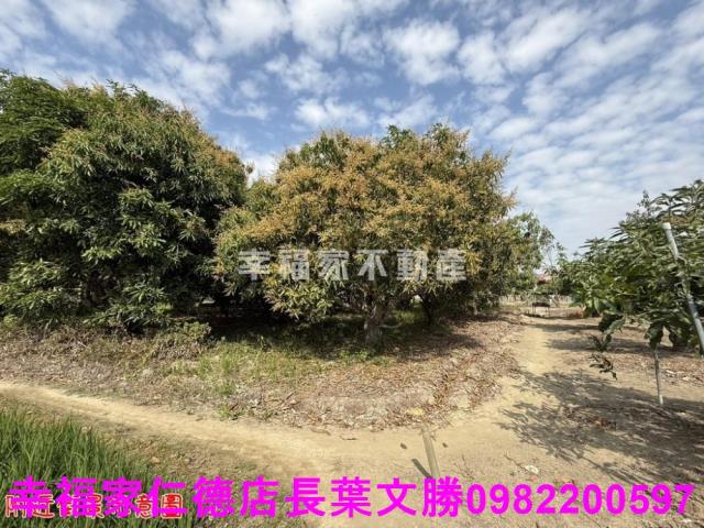 台南歸仁農地-3
