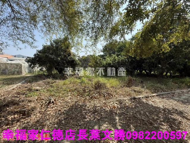 台南歸仁農地-7