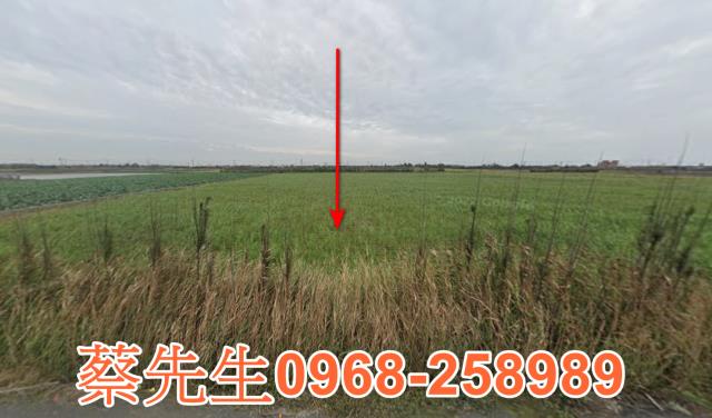 大城西港村農舍地興建農舍種植農作物