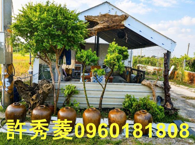 梓官百景花苑有水有電打造專屬開心農場