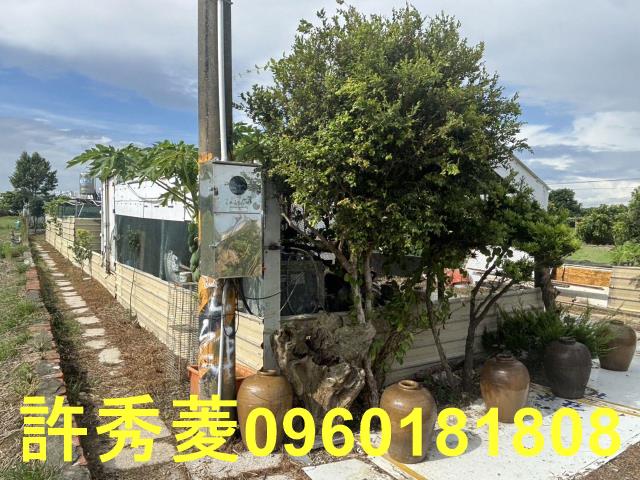 高雄梓官農地-1
