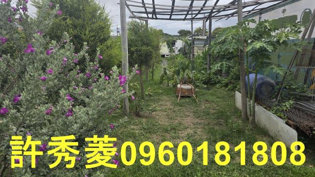高雄梓官農地-2