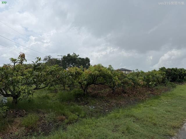 高雄美濃農地-1