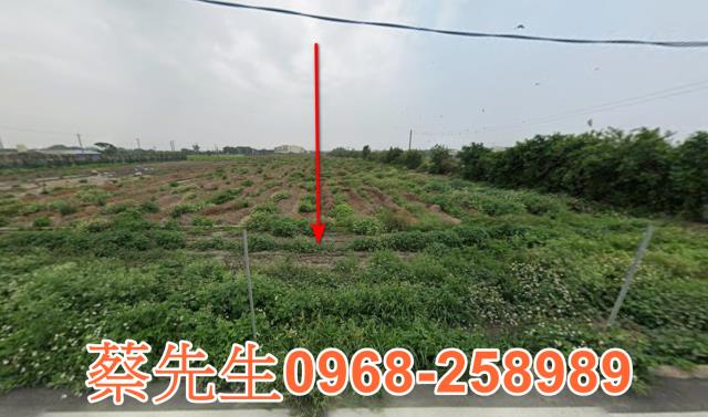 芳苑新復路農舍地興建農舍種植農作物