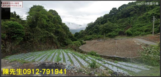 仁愛法拍仁愛農地仁愛土地