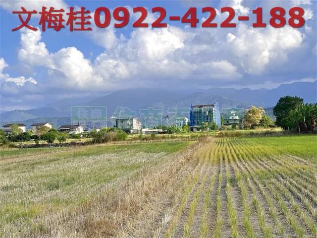 宜蘭三星農地-1