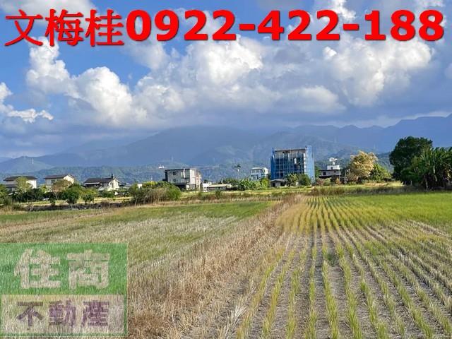 宜蘭三星農地-5