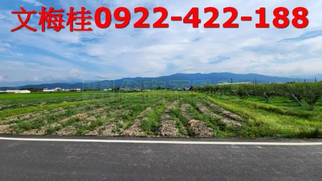 宜蘭農地宜蘭建地三星農地