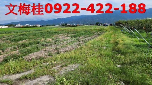 宜蘭三星農地-1