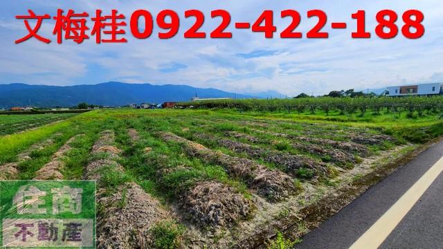 宜蘭三星農地-2