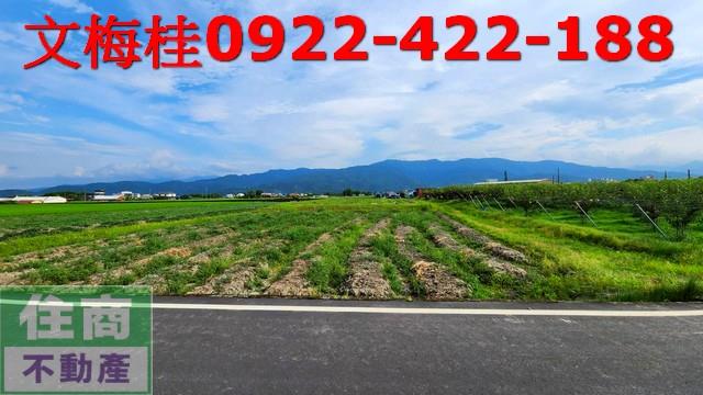 宜蘭三星農地-3