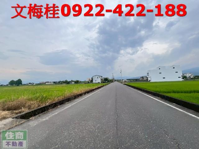 宜蘭壯圍農地-3