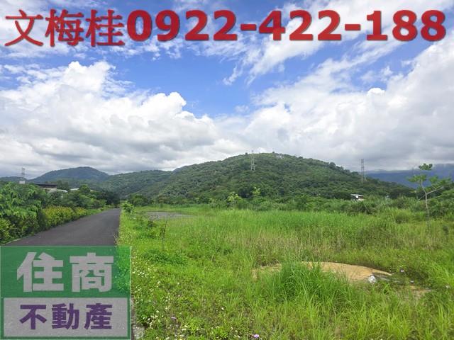 宜蘭員山農地-10