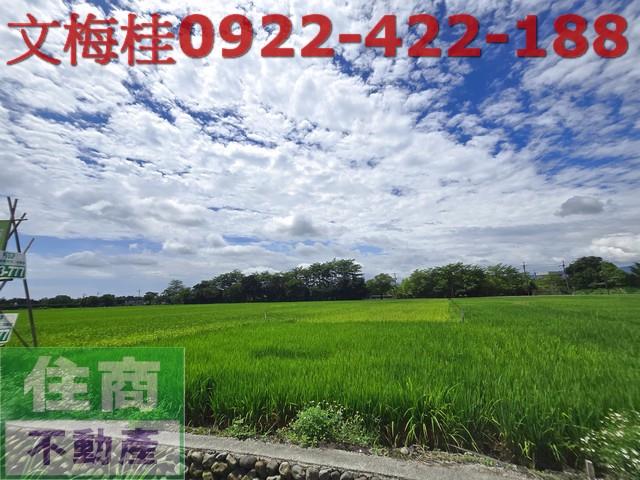 宜蘭員山農地-6