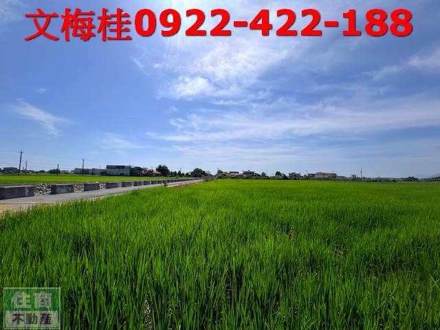 宜蘭農地宜蘭建地壯圍農地