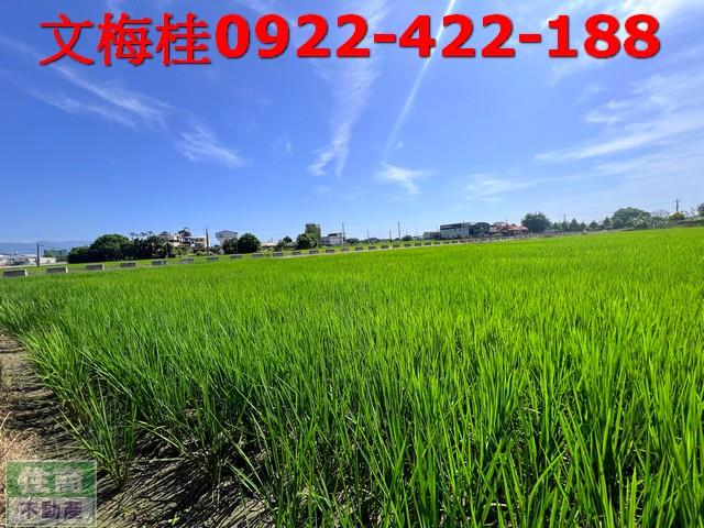 宜蘭宜蘭市農地-1
