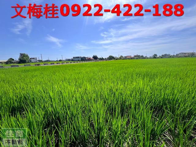 宜蘭宜蘭市農地-2