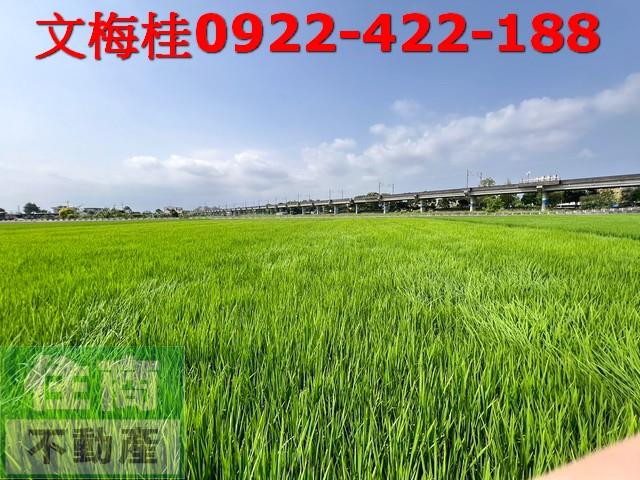 宜蘭農地宜蘭建地壯圍農地