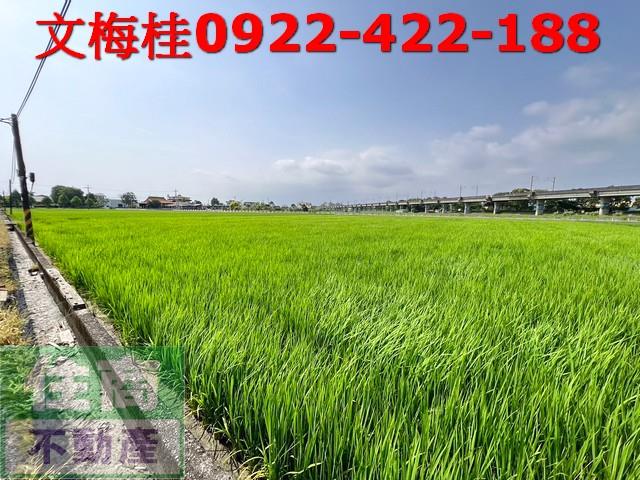 宜蘭宜蘭市農地-1