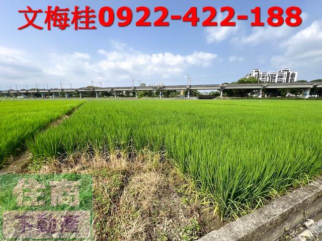 宜蘭宜蘭市農地-2