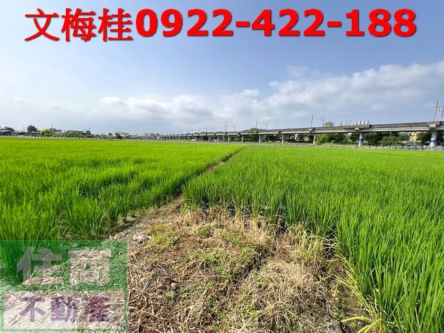 宜蘭宜蘭市農地-3