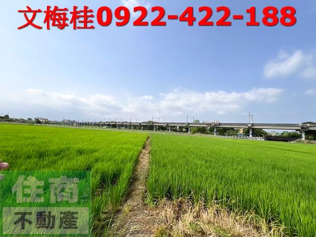 宜蘭宜蘭市農地-4