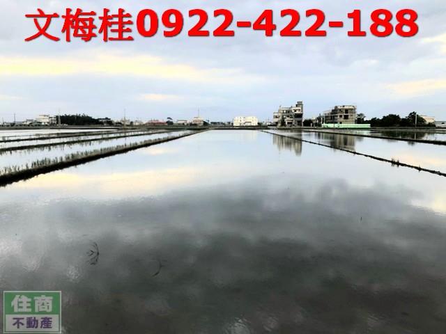 宜蘭壯圍農地-1