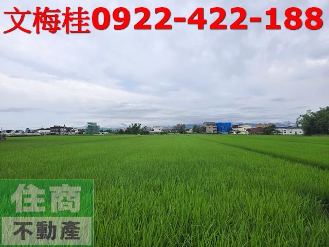 宜蘭農地宜蘭建地壯圍農地