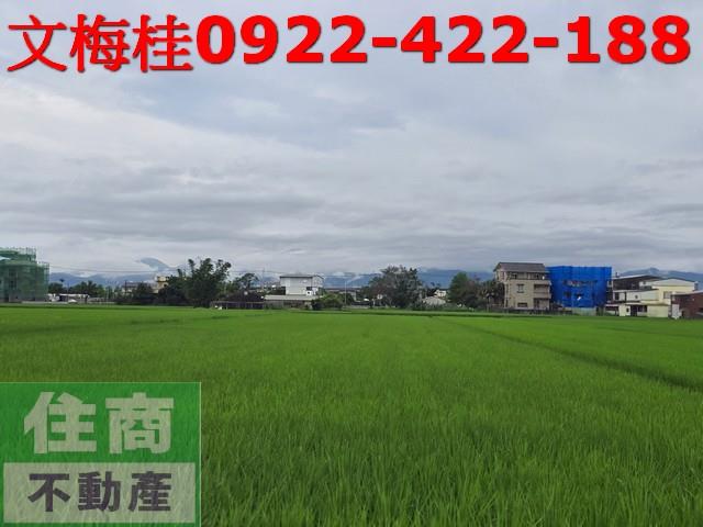 宜蘭壯圍農地-1