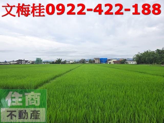 宜蘭壯圍農地-4