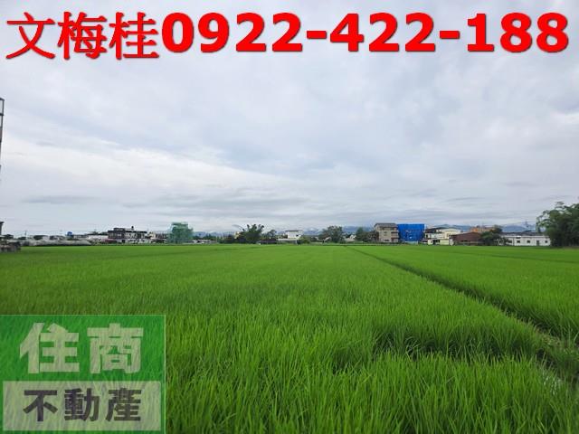 宜蘭壯圍農地-5