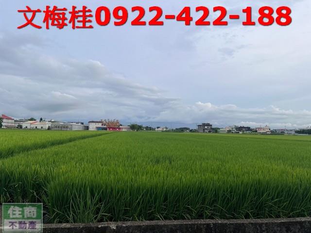 宜蘭農地宜蘭建地壯圍農地