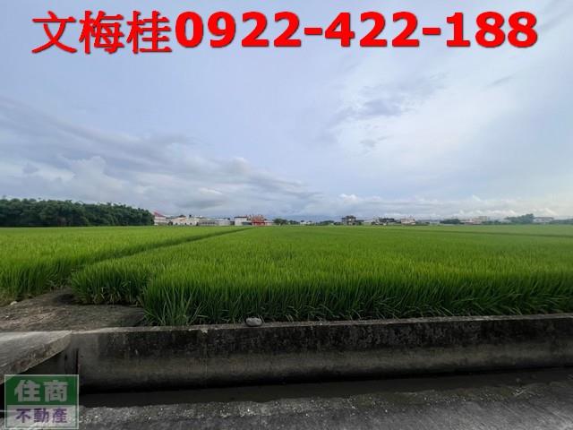 宜蘭壯圍農地-3