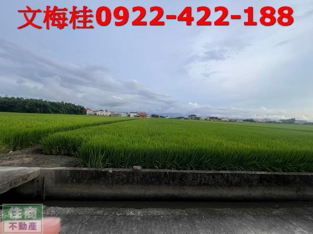 宜蘭壯圍農地-4