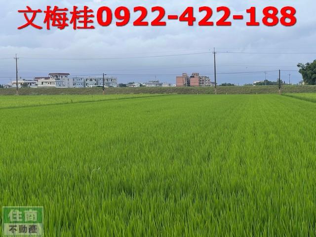宜蘭壯圍農地-6