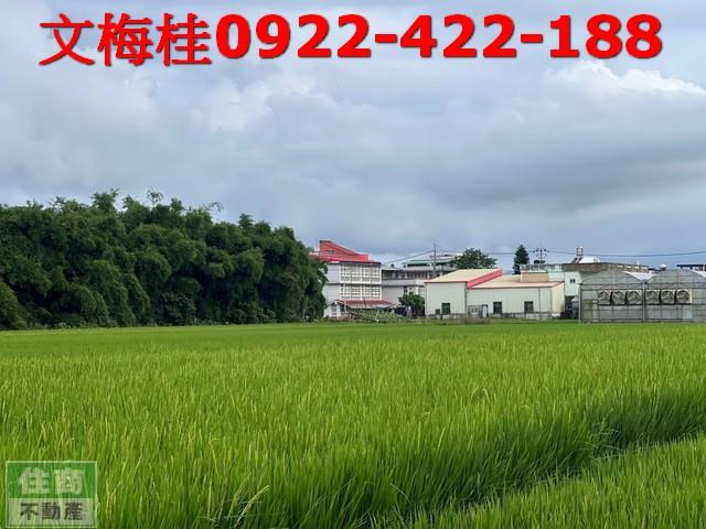 宜蘭壯圍農地-7