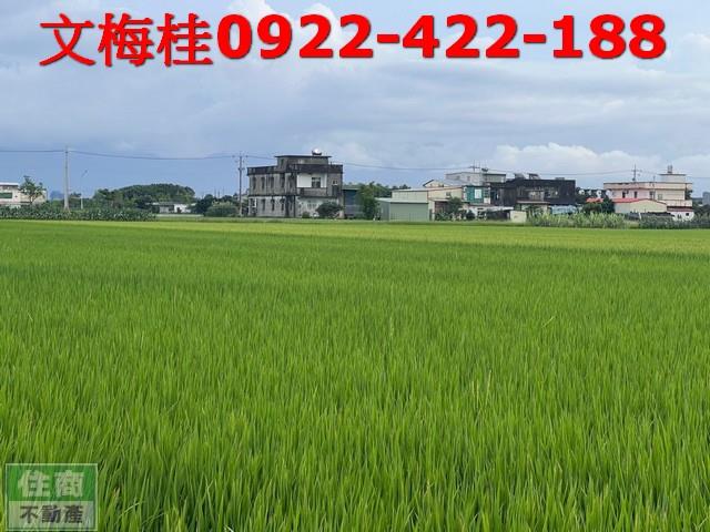 宜蘭壯圍農地-8