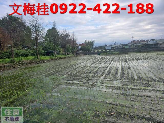 宜蘭農地宜蘭建地壯圍農地