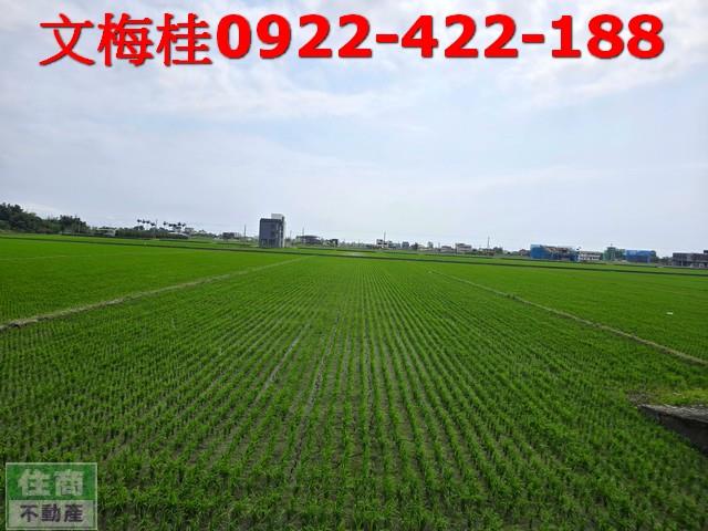 宜蘭礁溪農地-0