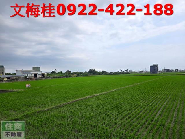 宜蘭礁溪農地-1