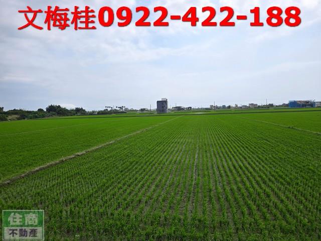 宜蘭礁溪農地-4