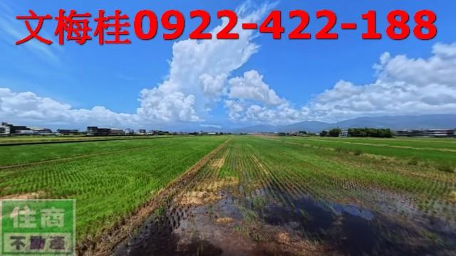 宜蘭農地宜蘭建地壯圍農地