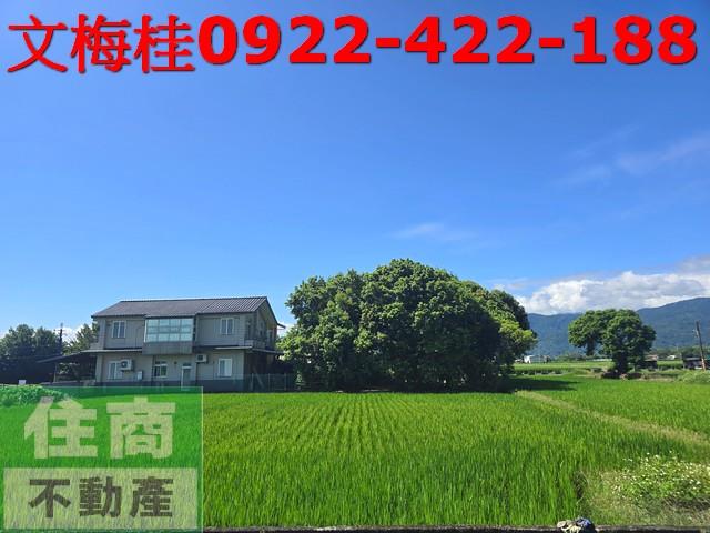 宜蘭農地宜蘭建地三星農地