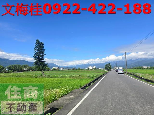 宜蘭三星農地-1